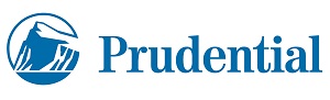 DI logo